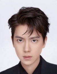 Фото Пань И Хун